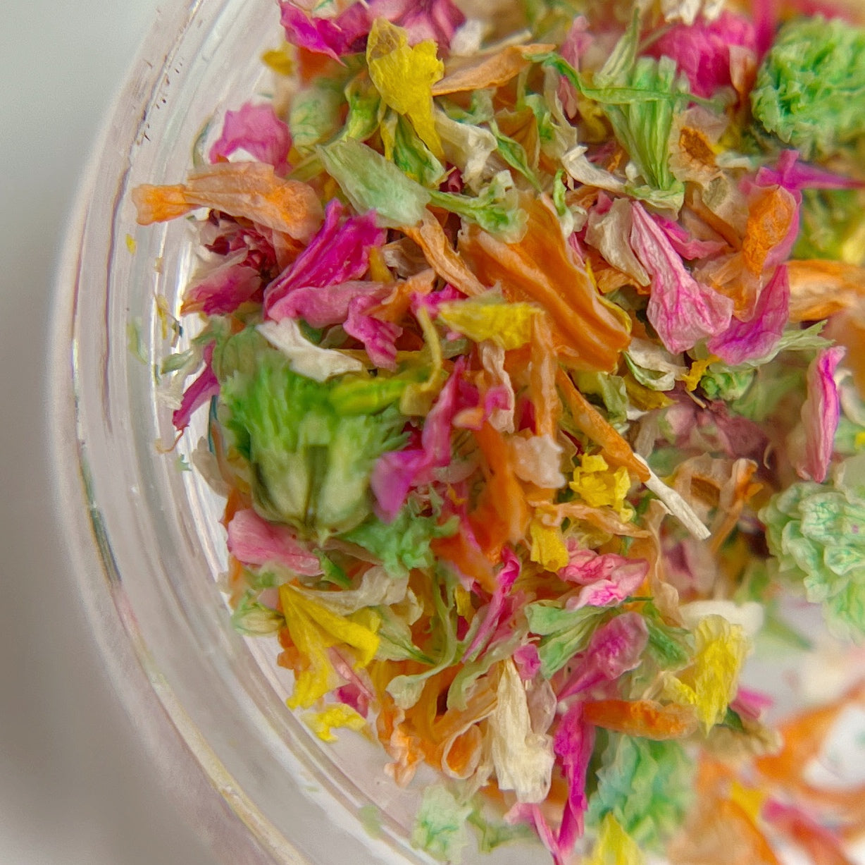 Detail view of dried flowers in clear jar on white background.
