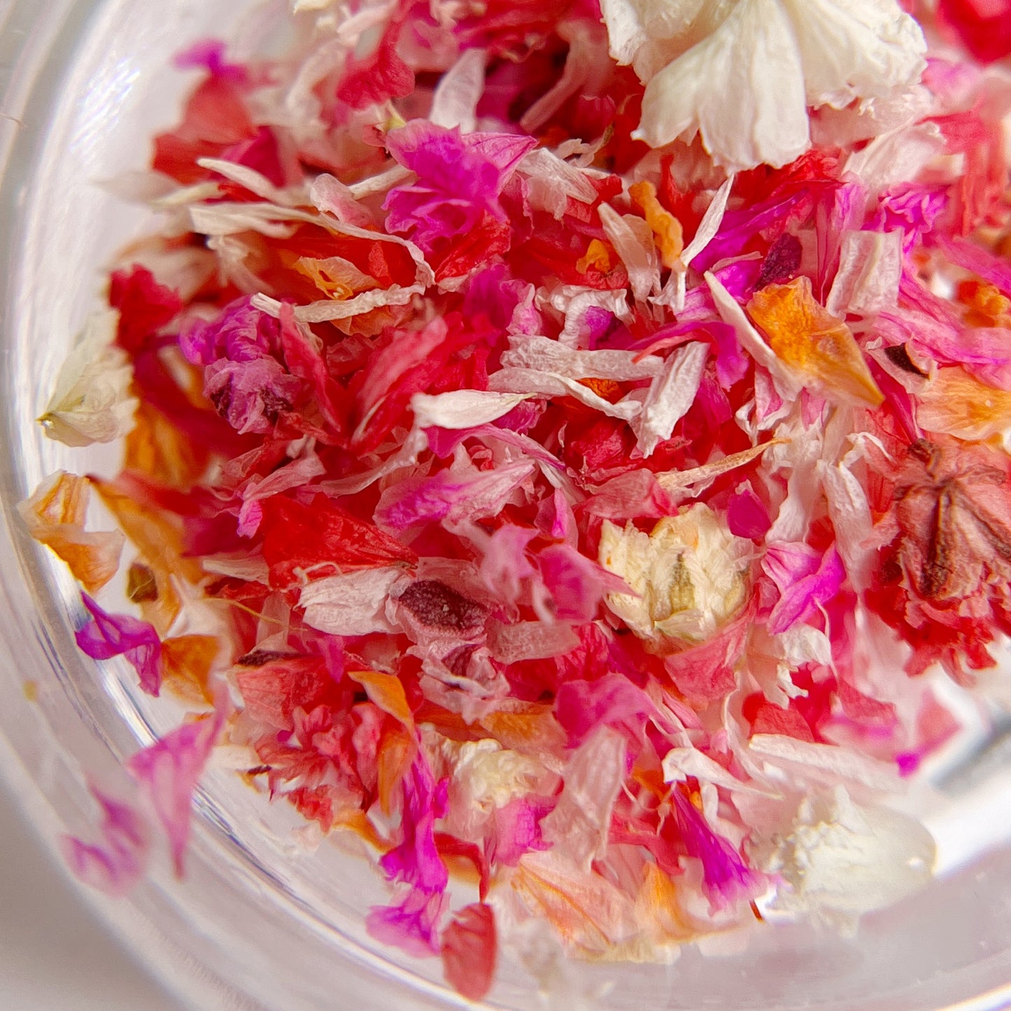 Detail view of dried flowers in clear jar on white background.