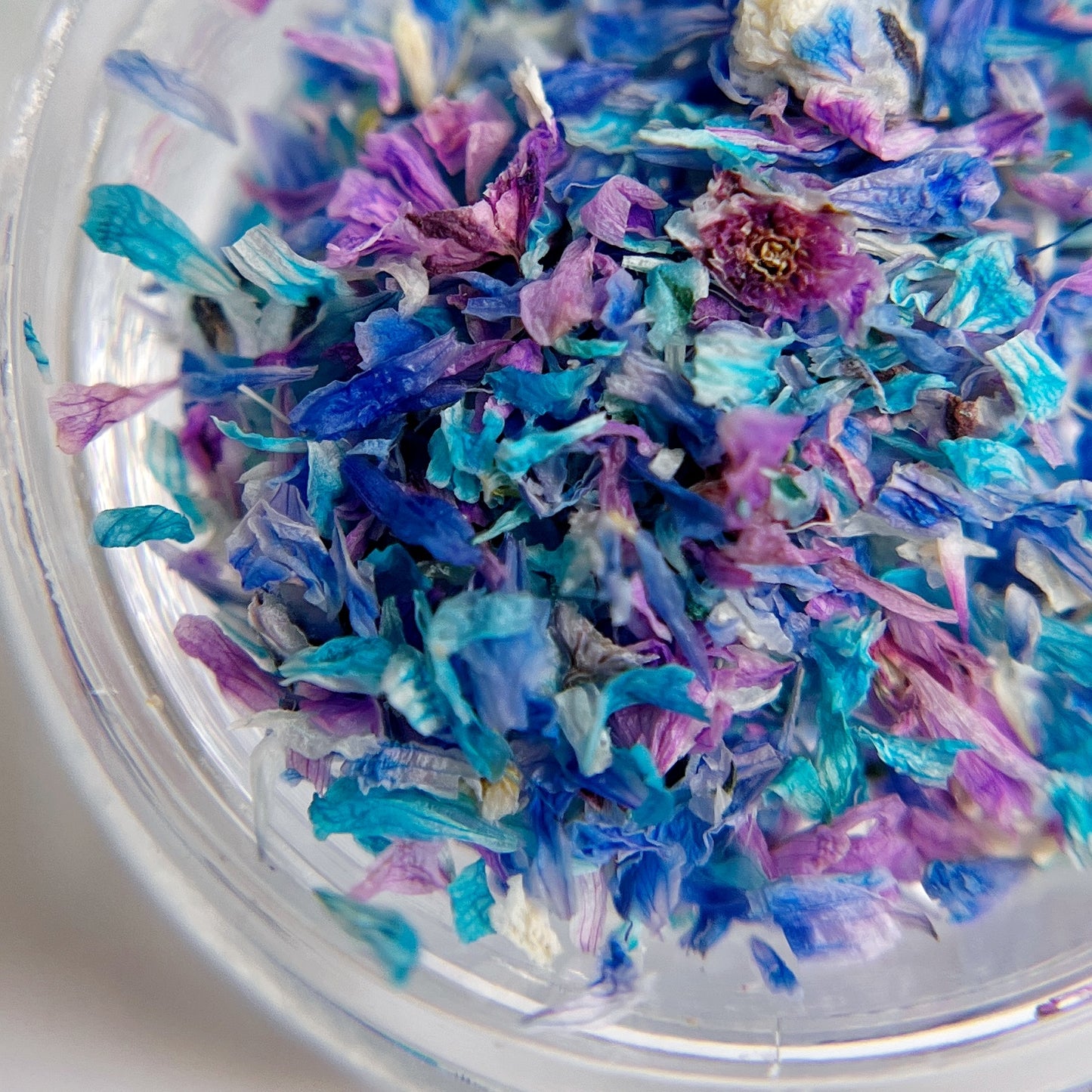 Detail view of dried flowers in clear jar on white background.