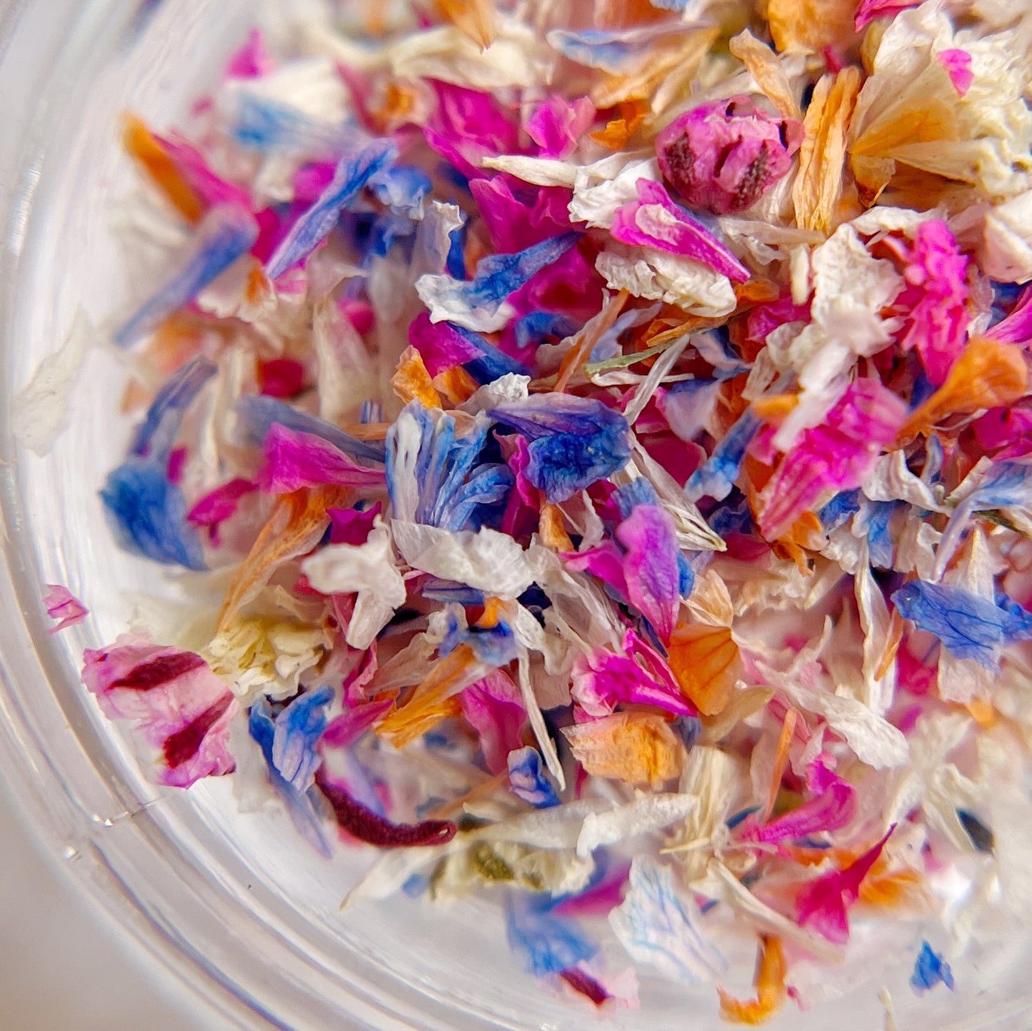 Detail view of dried flowers in clear jar on white background.