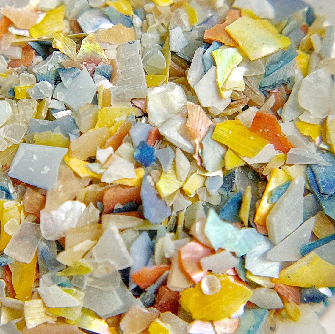 Coastal Mosaic - Catalina