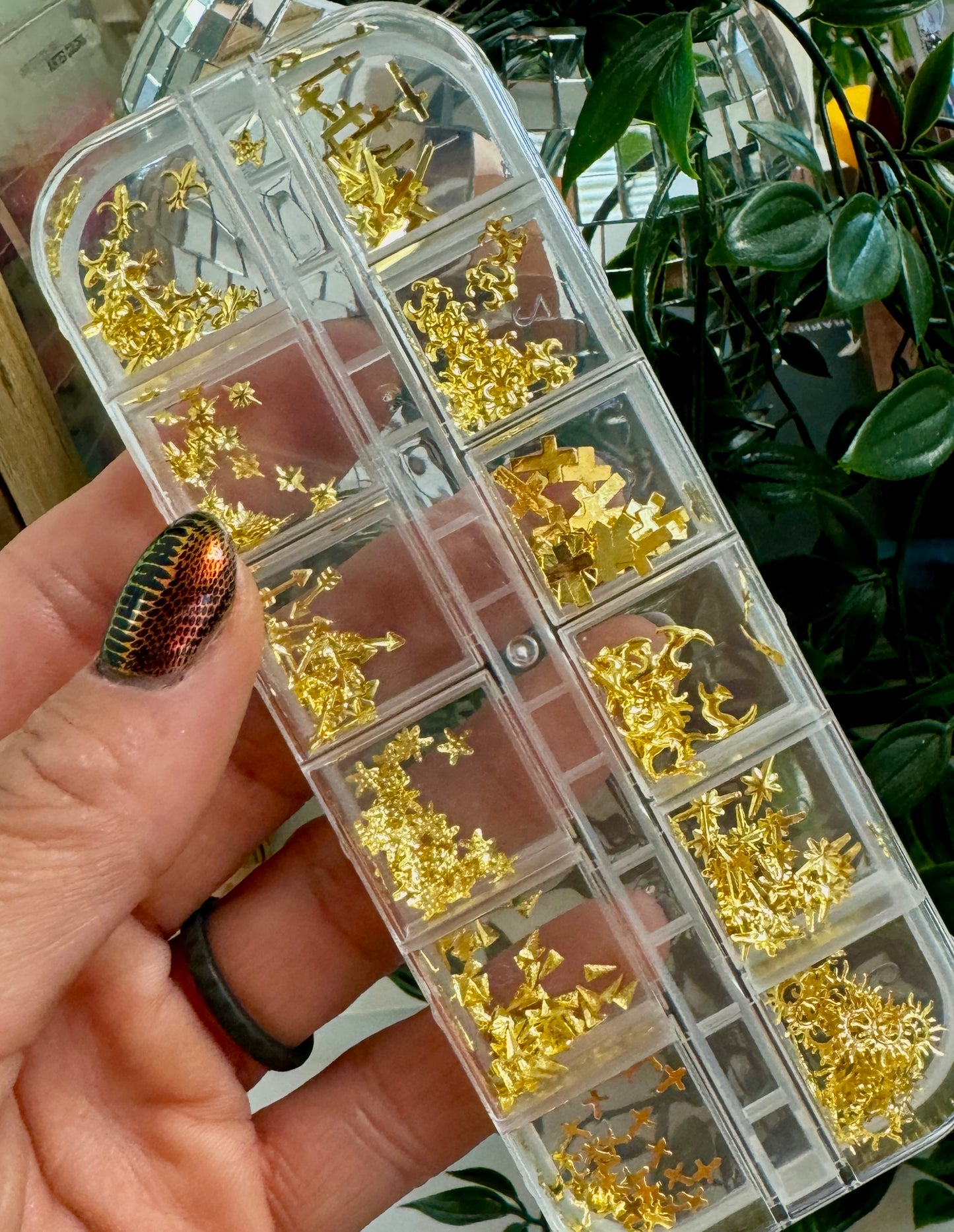 Clear container with gold embellishments held by a hand against a green plant background