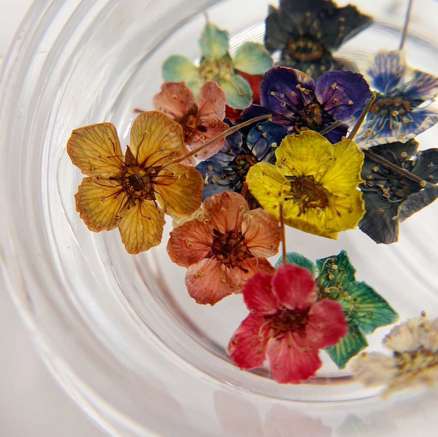 Multicolor dried flowers in clear jar on white background.