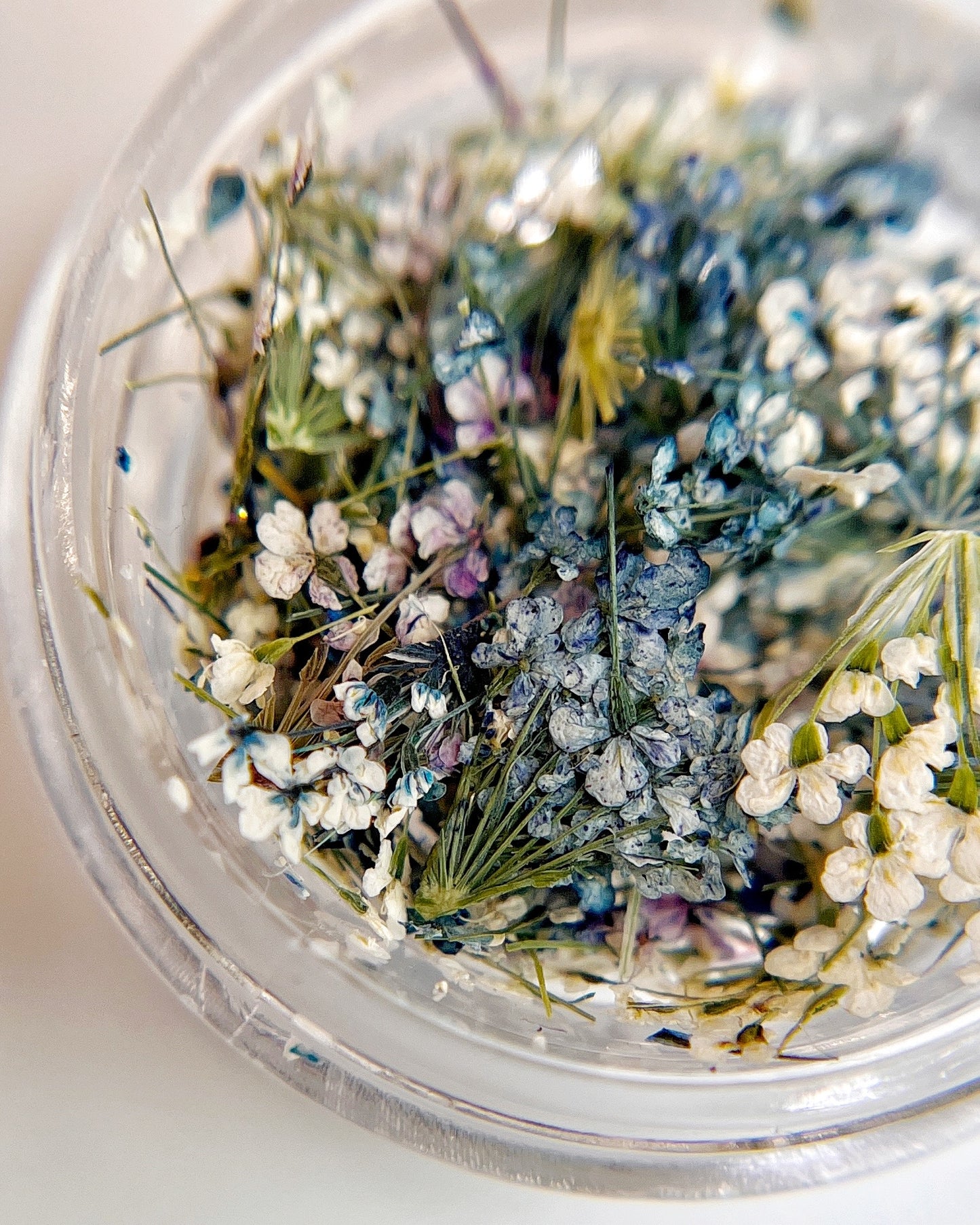 Detail view of multi-color dried flower mixture in clear jar on white background.