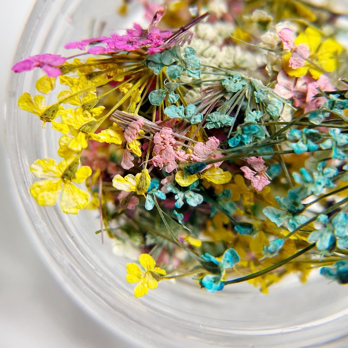 Detail view of multi-color dried flower mixture in clear jar on white background.