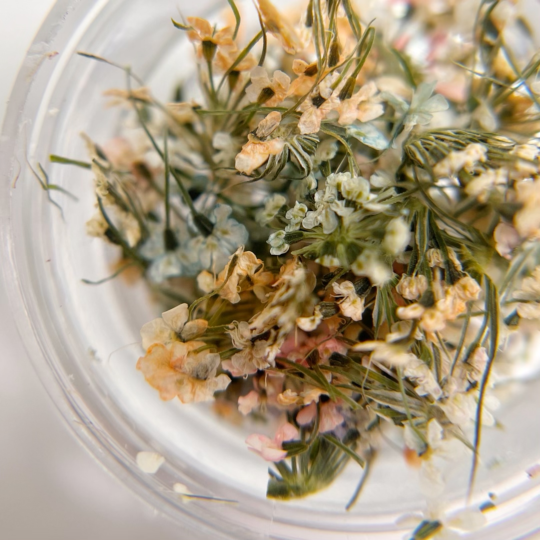 Detail view of multi-color dried flower mixture in clear jar on white background.