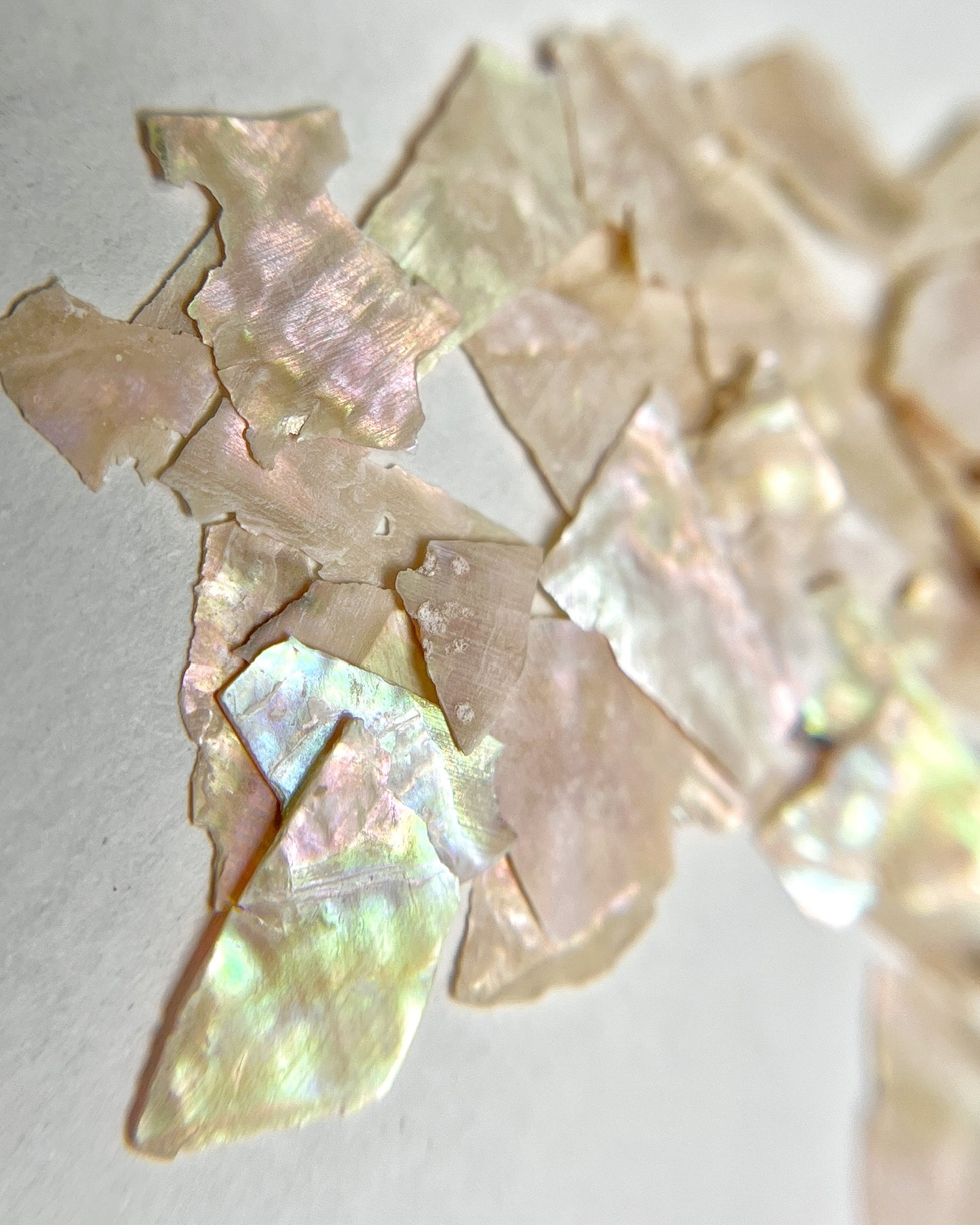Close up iomage of natural shell flakes on white background.