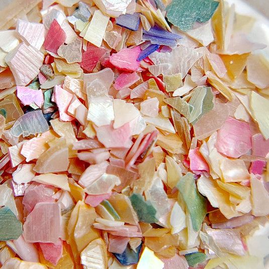 Shop Shells – Vacation Nail Shop