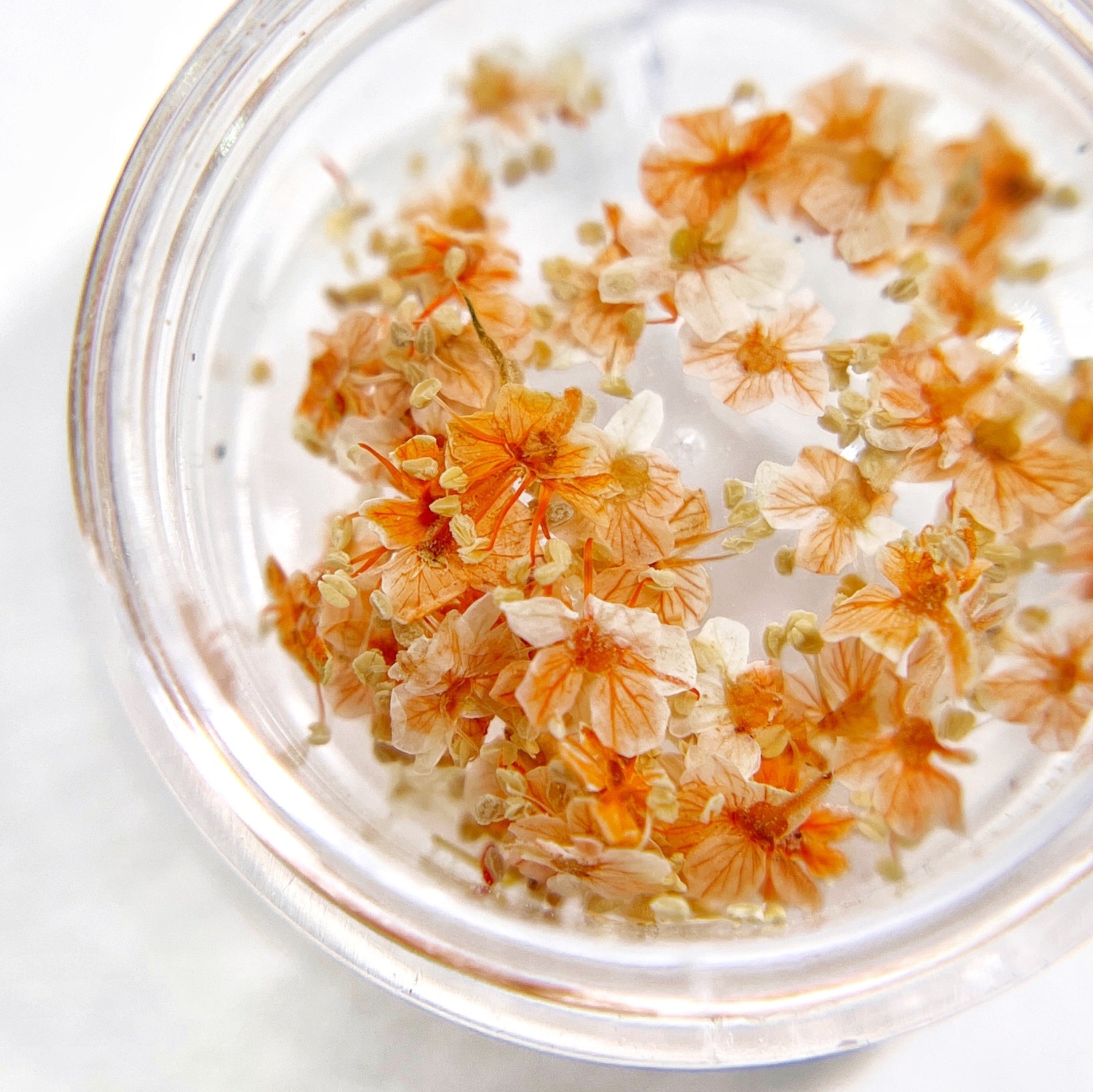 Close up of small flowers in transparent jar on light background