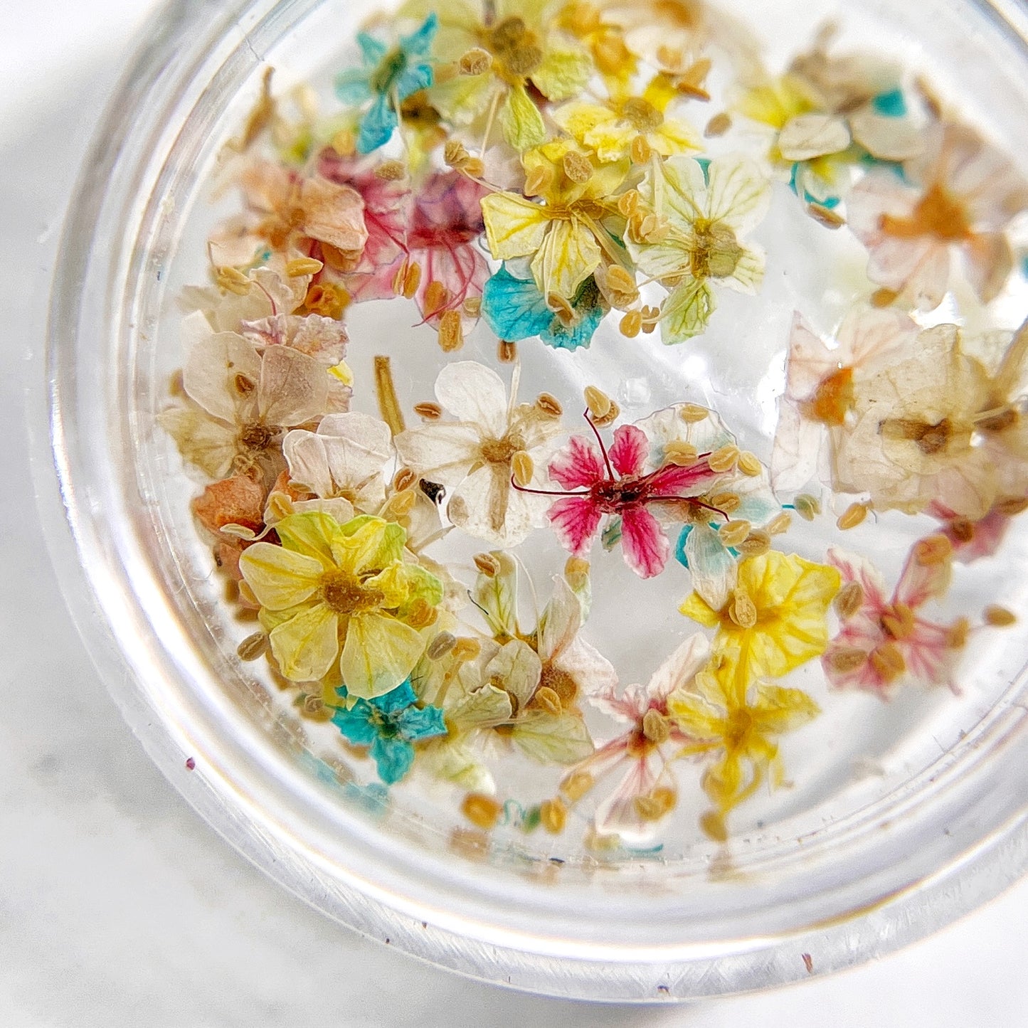 Close up of small flowers in transparent jar on light background