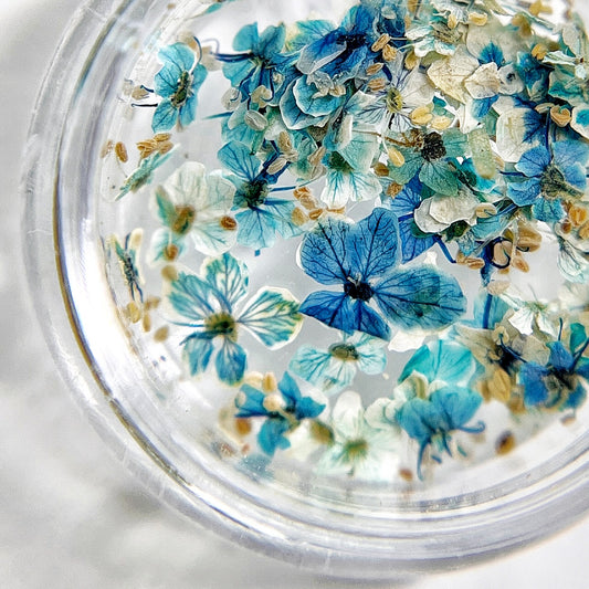Close up of small flowers in transparent jar on light background