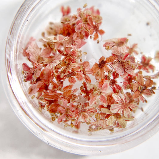Close up of small flowers in transparent jar on light background