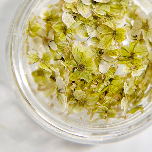 Close up of small flowers in transparent jar on light background