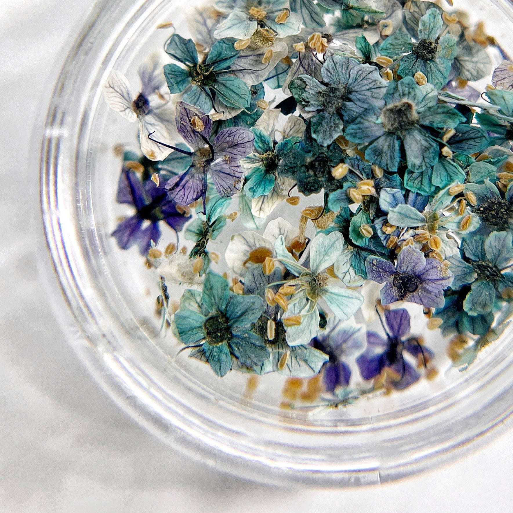 Close up of small flowers in transparent jar on light background