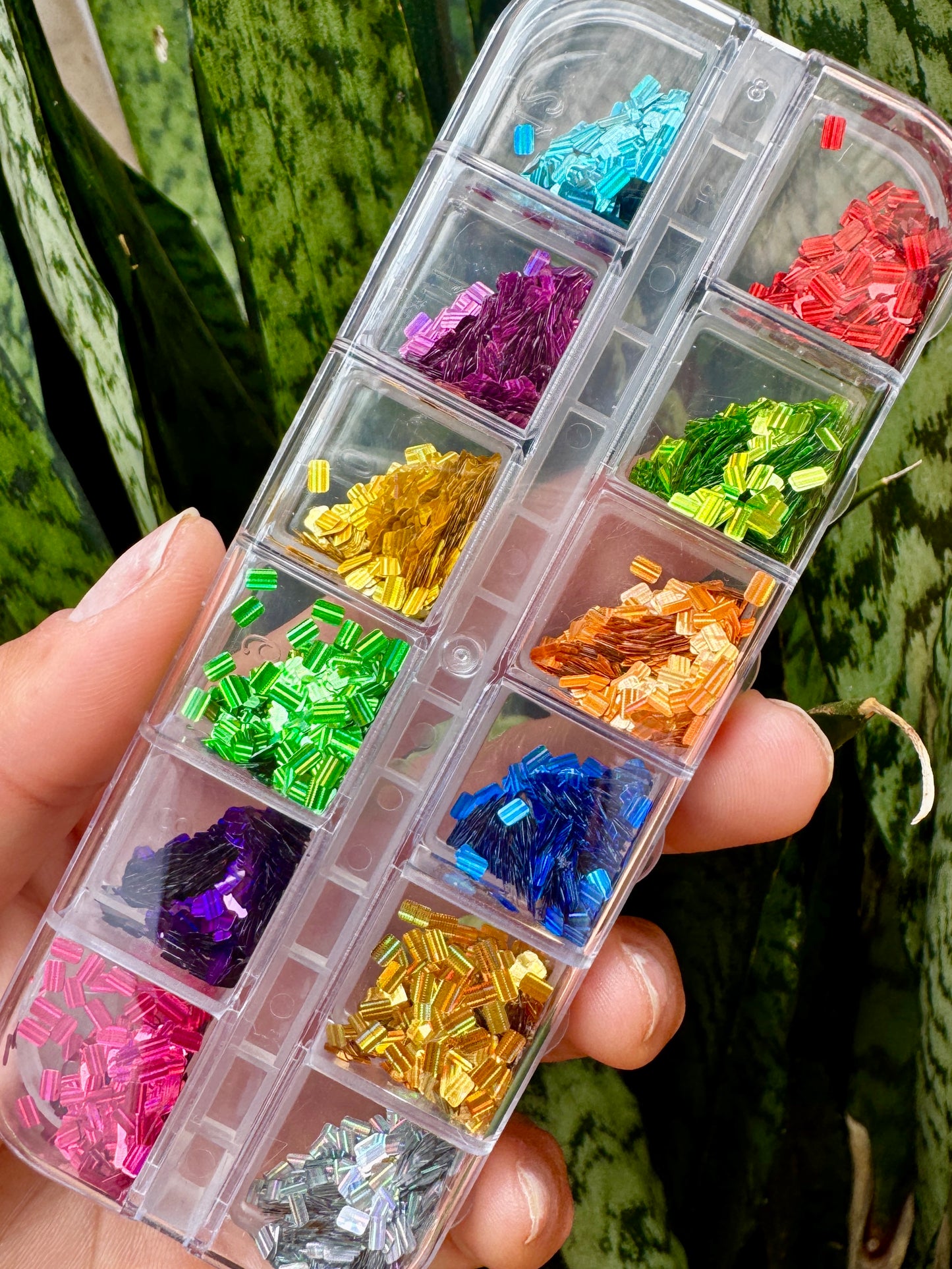 Clear organizer with compartments filled with colorful decorative glitter, held against a green leafy background.