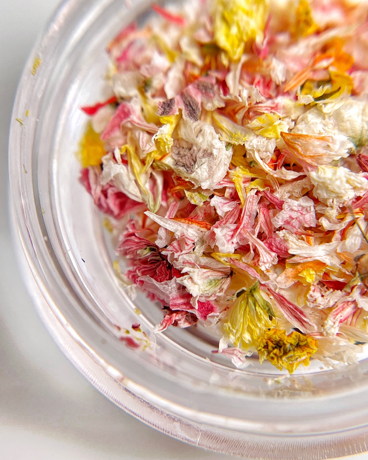 Close-up of a clear container with colorful flower petals on a white background