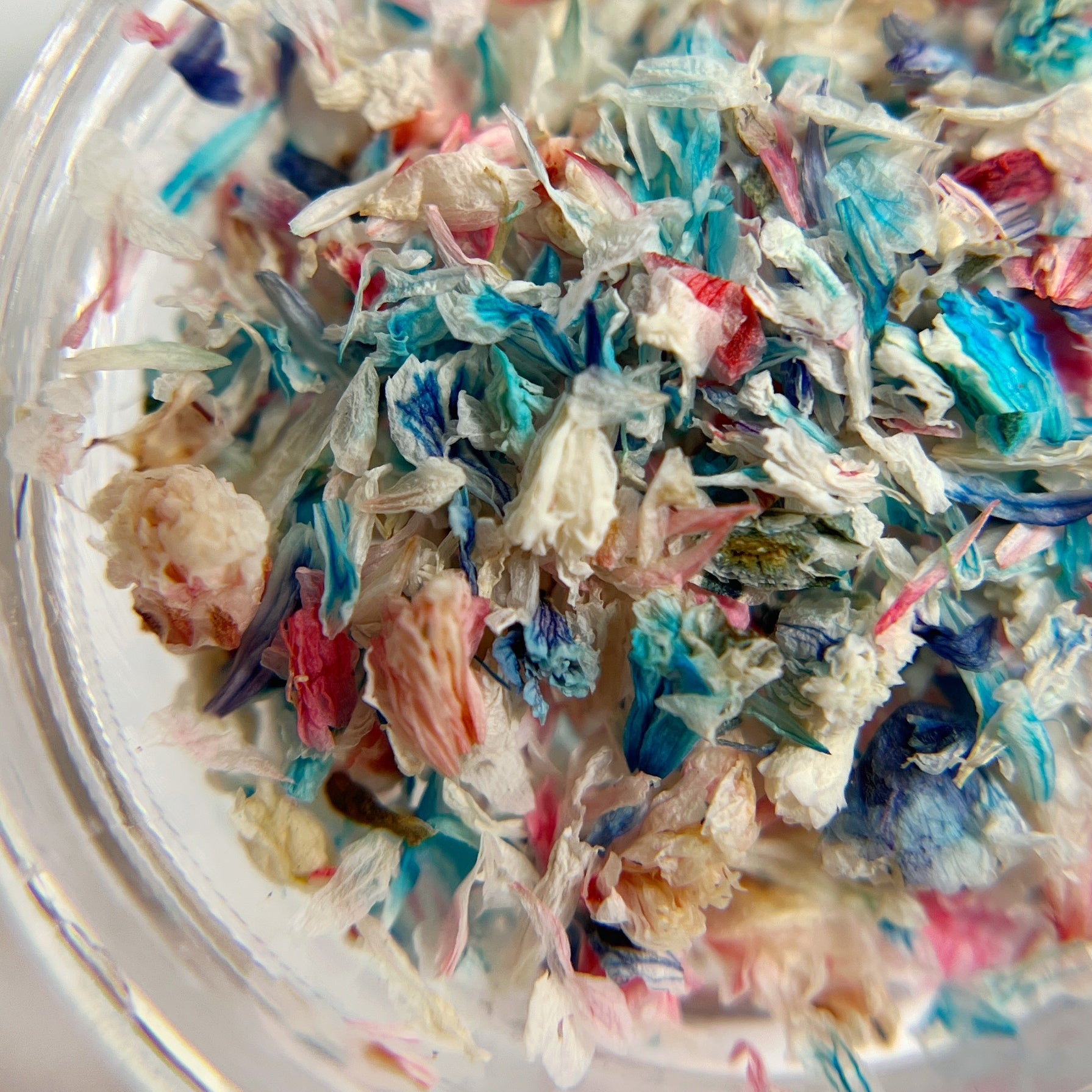 Close-up of colorful flower petals in a clear container