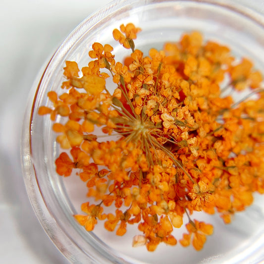 Close-up of orange flowers in a clear container on a light background