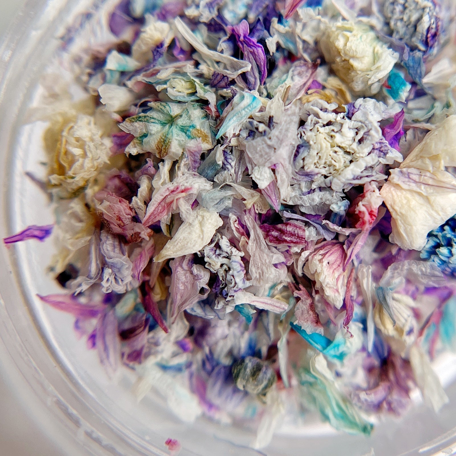 Close-up of colorful dried flowers in a clear container