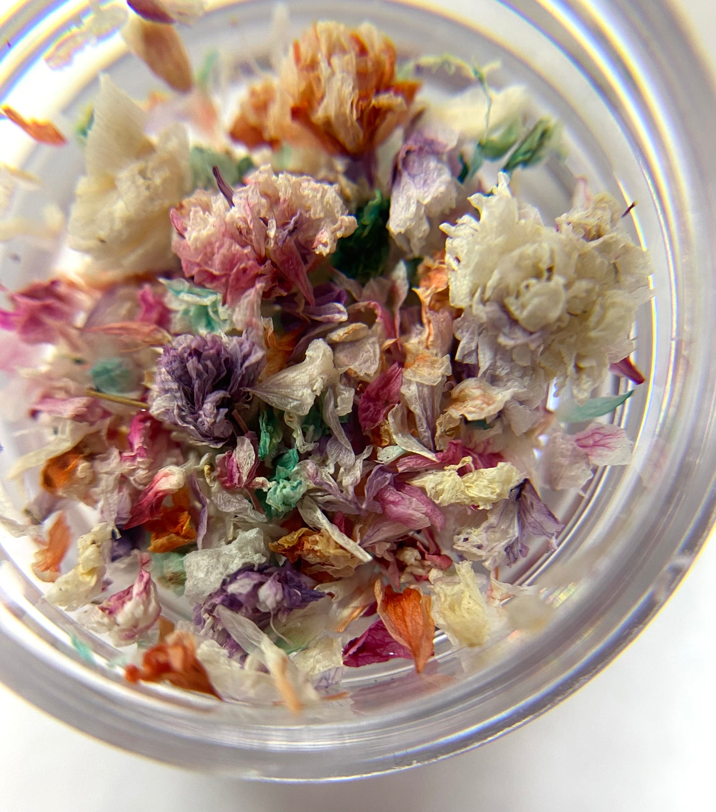 Colorful dried flowers in a clear container on a white background