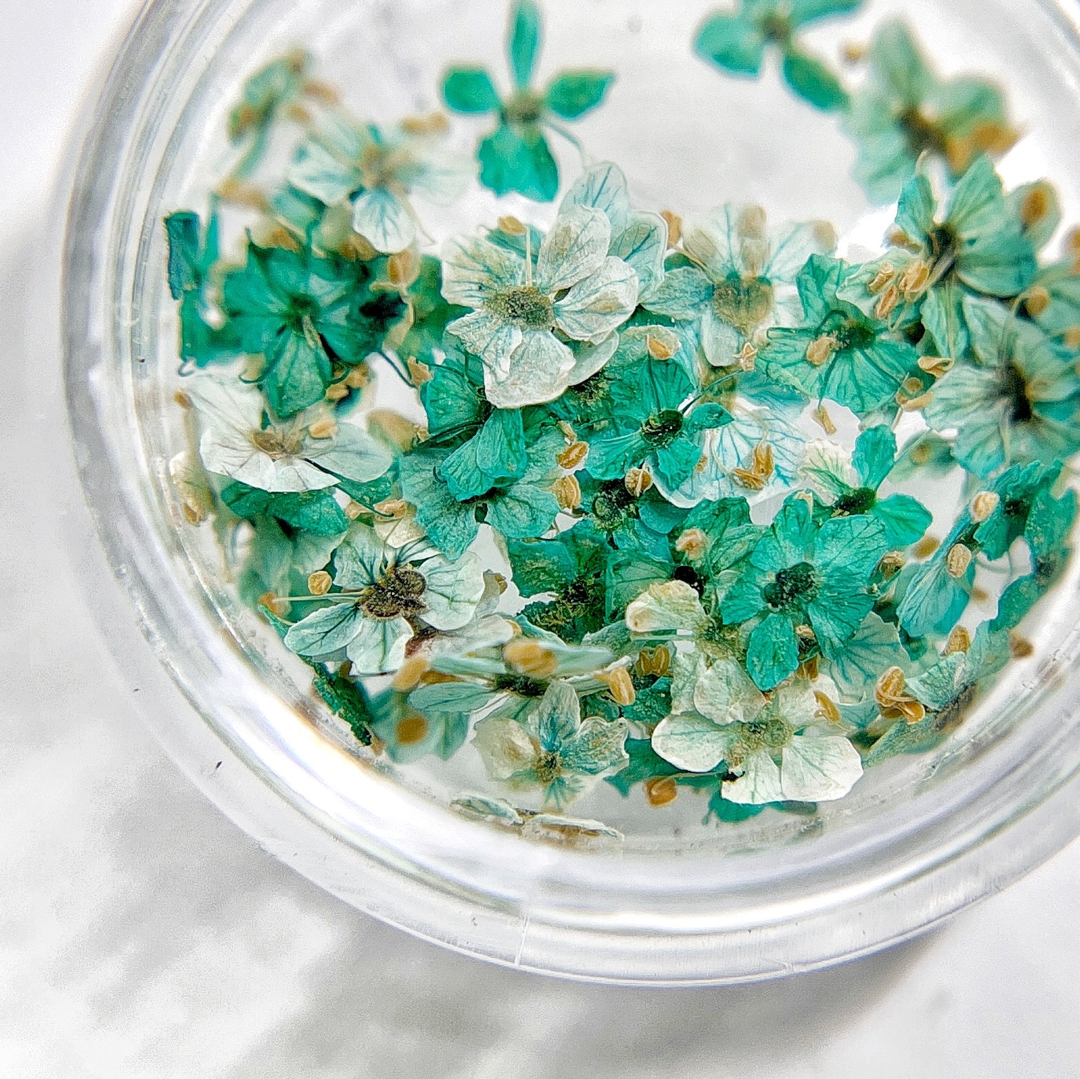 Small flowers in transparent jar on light background