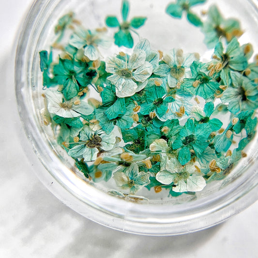 Small flowers in transparent jar on light background