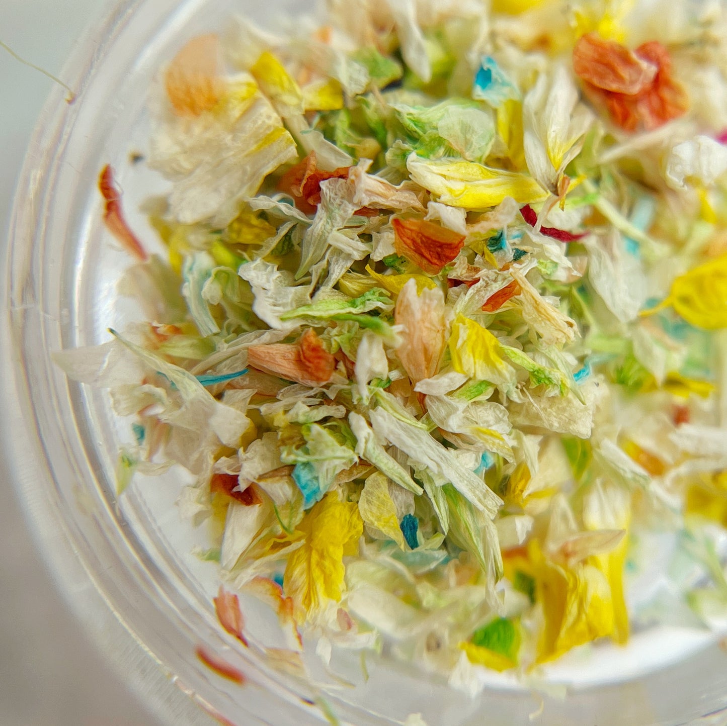 Close-up of multicolored dried flower petals in transparent jar on white background