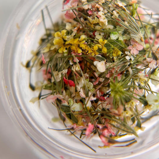 Detail view of multi-color dried flower mixture in clear jar on white background. 