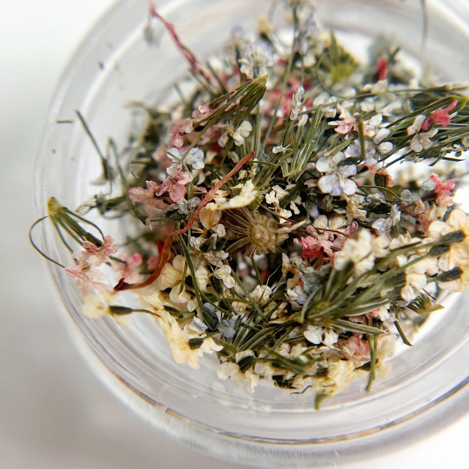 Detail view of multi-color dried flower mixture in clear jar on white background. 