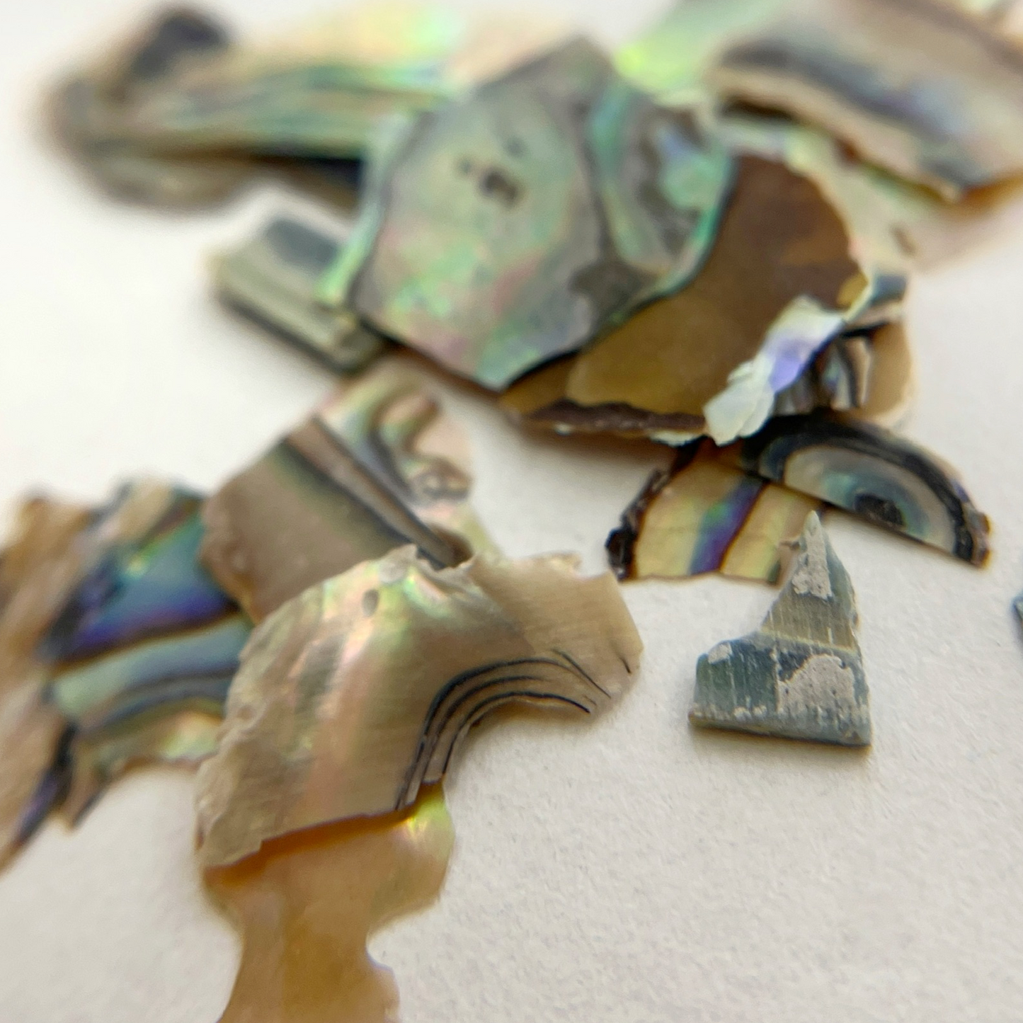 Close up image of natural shell flakes on light surface